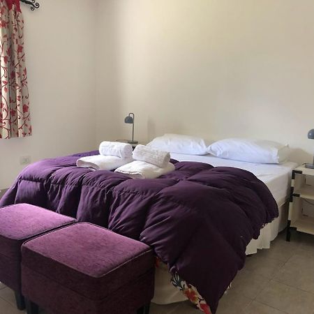 Hotel Hospedar Calafate - Los Lupinos El Calafate Zewnętrze zdjęcie